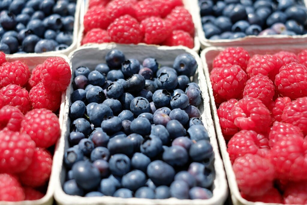 berries, blueberries, raspberries, fruits, market, farmer's market, fruit stand, produce, harvest, organic, fresh, fresh berries, fresh blueberries, fresh raspberries, ripe, ripe berries, ripe blueberries, ripe raspberries, berries, berries, berries, berries, berries, blueberries, market, market, market