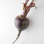 A single raw beetroot with stems, showcasing its vibrant color on a white background.